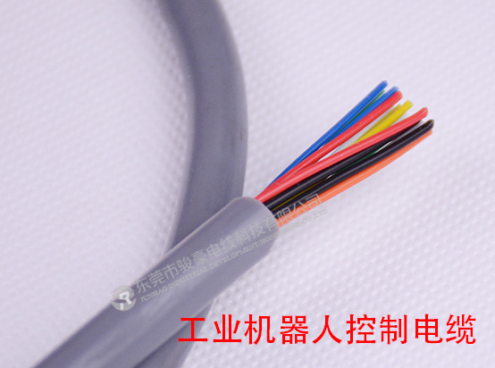 1-1P41Q14245S6 工业机器人电缆产品图